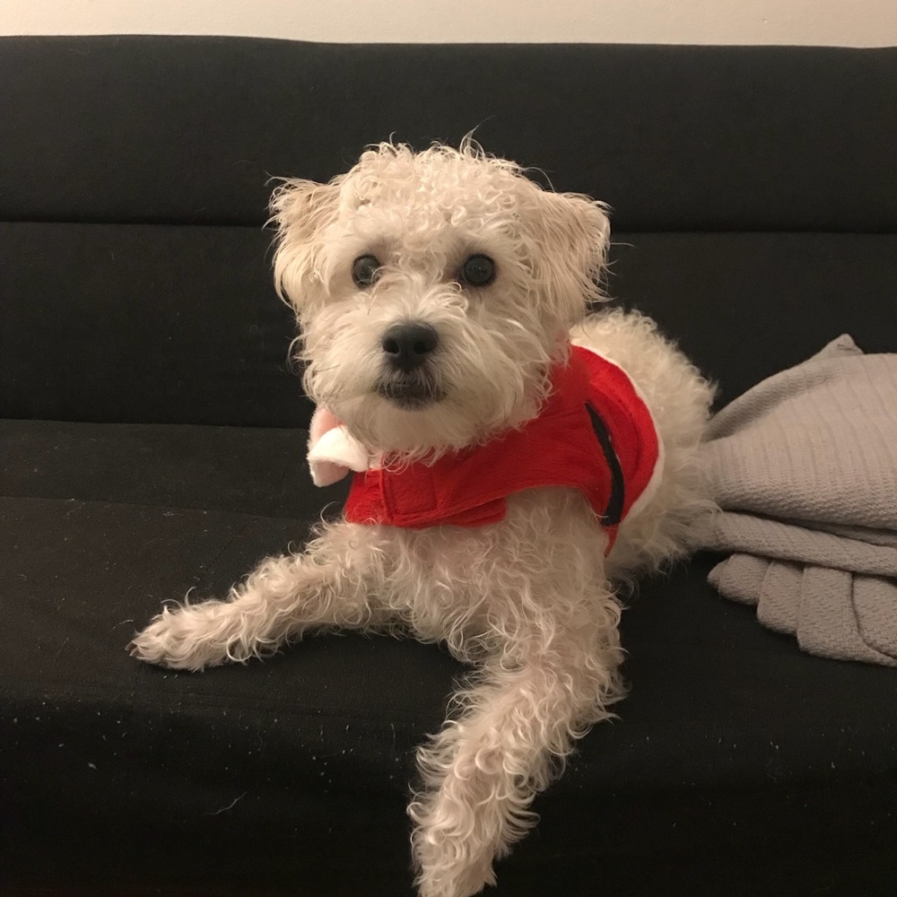 AA cropped black fisherman for c_cas